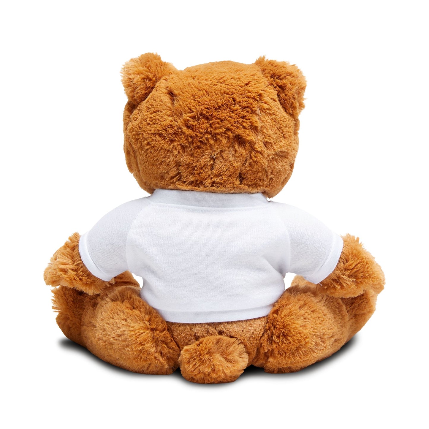 Plush Teddy Bear