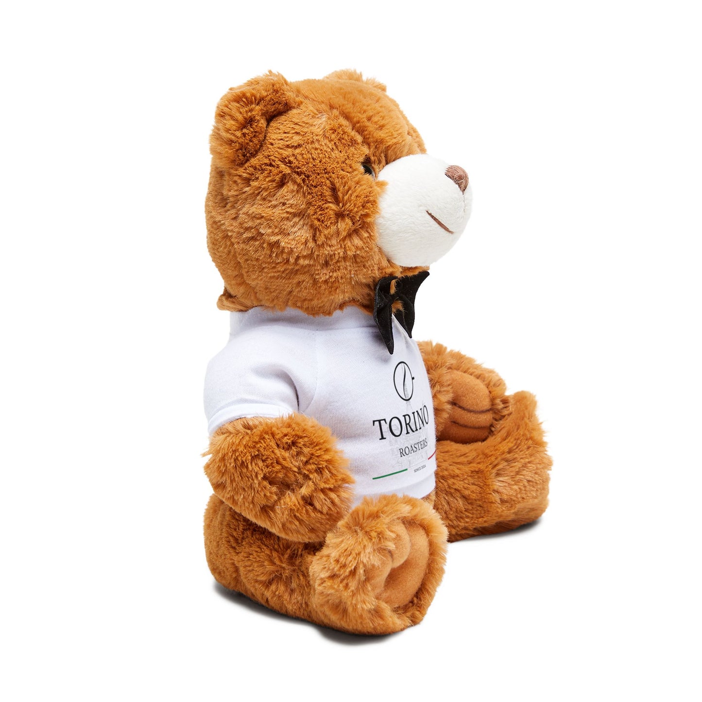Plush Teddy Bear