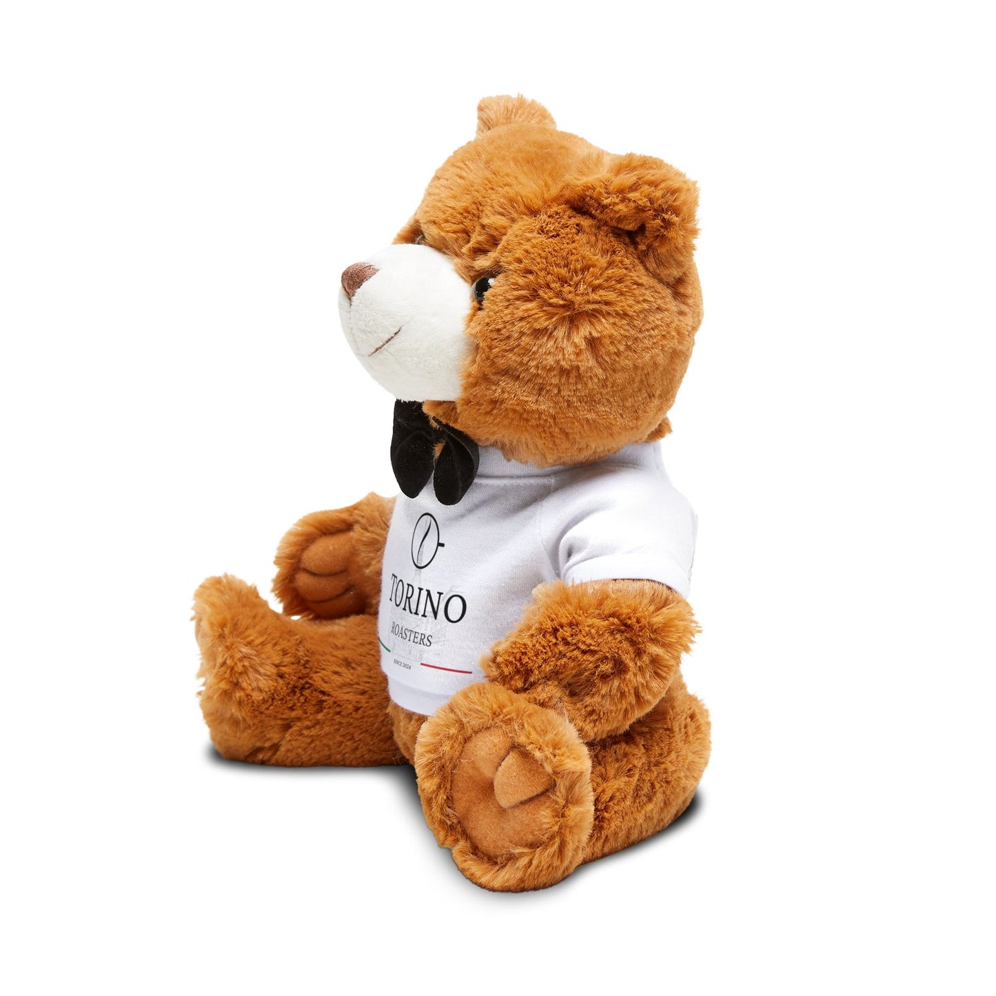 Plush Teddy Bear